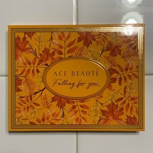 Brand -  Ace Beauté
Falling for you Palette [12 fun/fall colors]